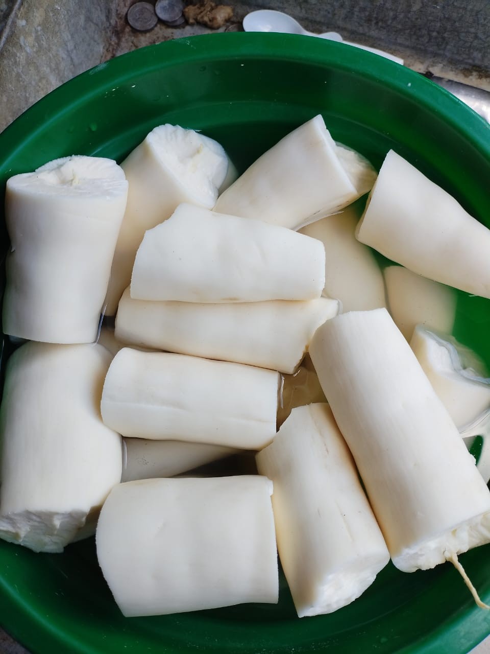 YUCA2