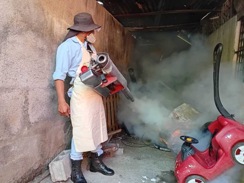 Fumigacion-2