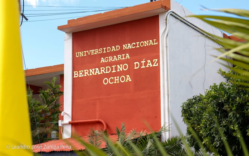 UNA-(13)