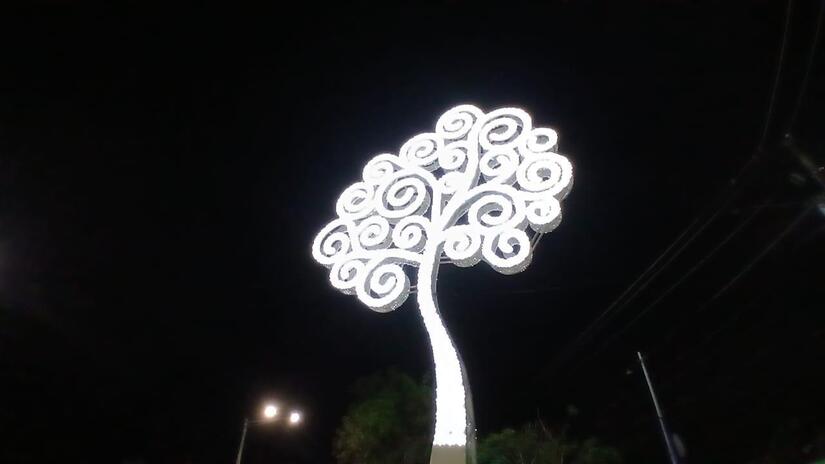 ARBOLES-(7)