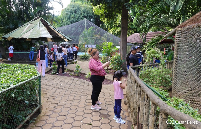 ZOOLOGICO-(12)
