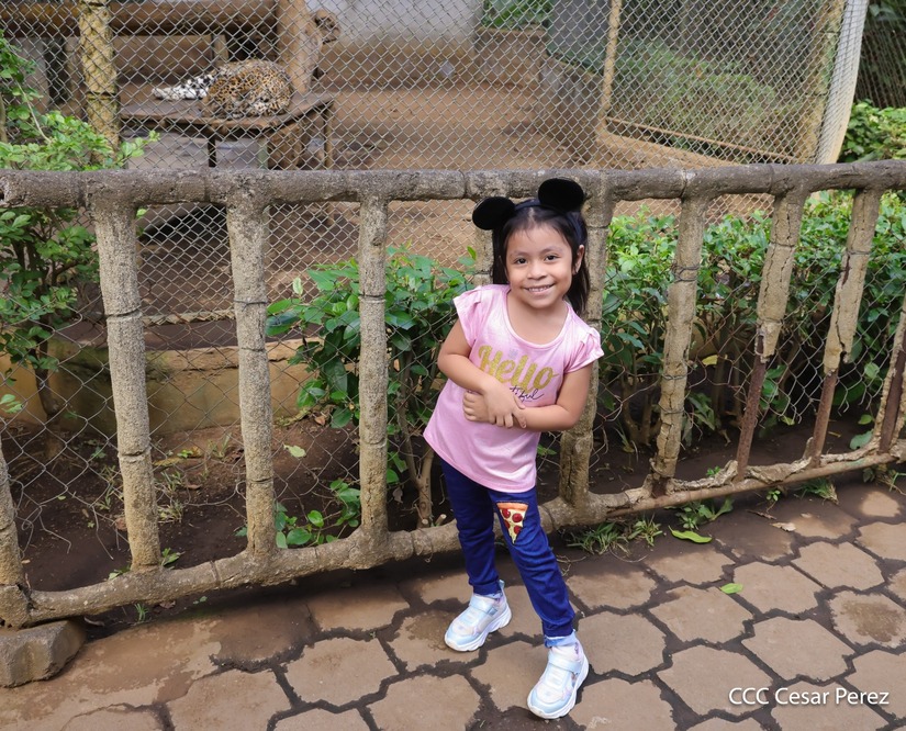 ZOOLOGICO-(13)
