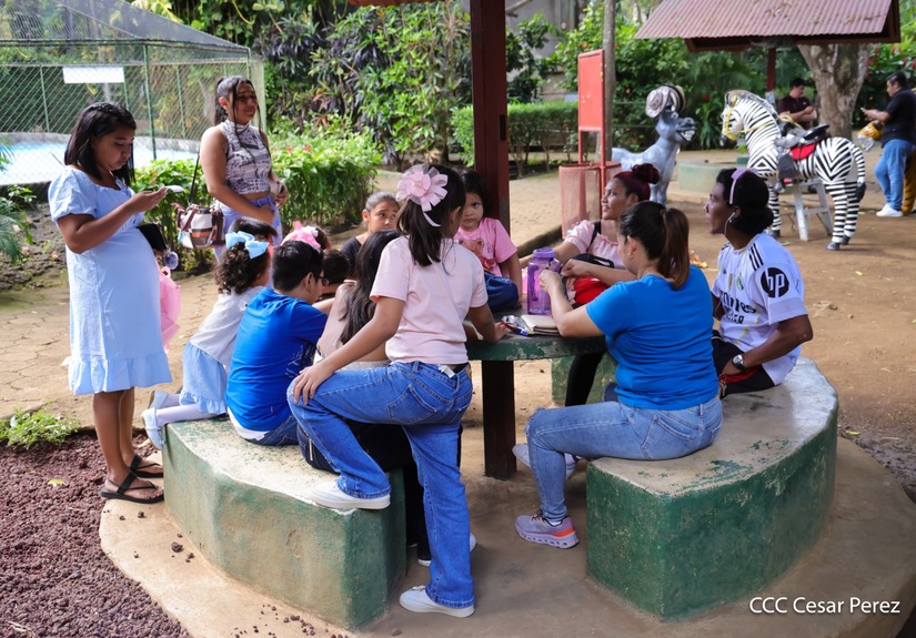 ZOOLOGICO-(14)