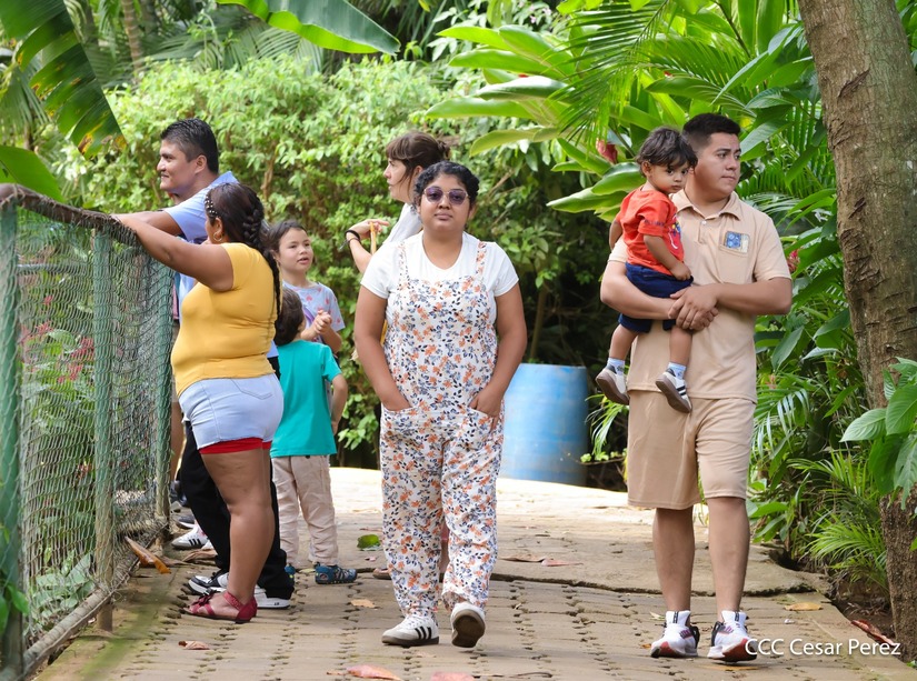 ZOOLOGICO-(15)