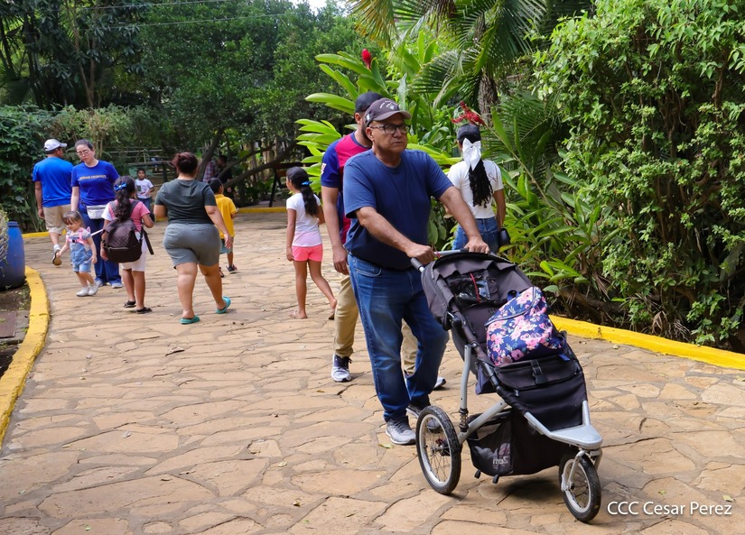 ZOOLOGICO-(17)
