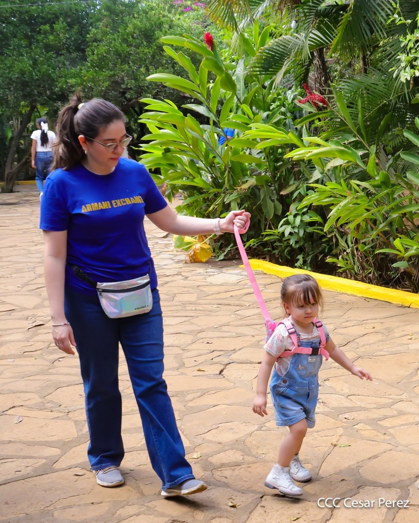 ZOOLOGICO-(18)