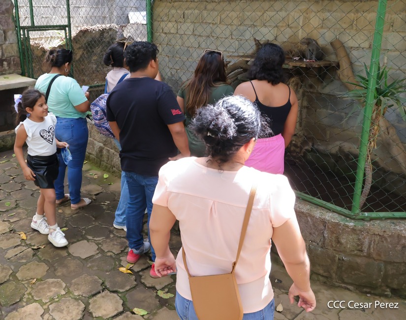 ZOOLOGICO-(22)