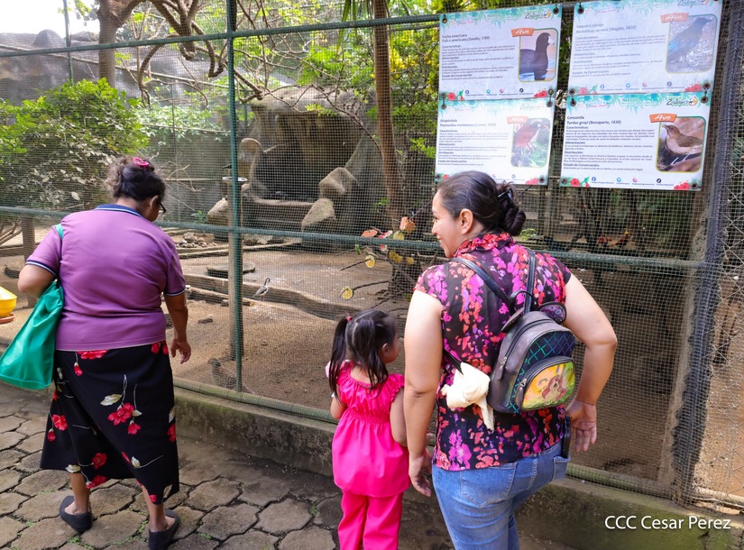 ZOOLOGICO-(23)