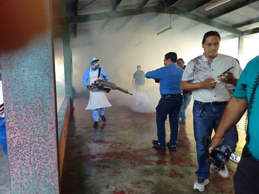 Fumigacion-2