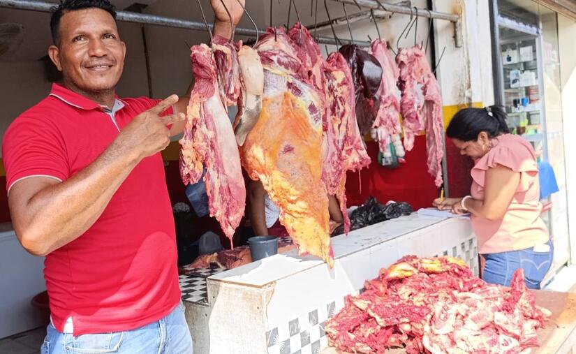 Carne-Bovina-2