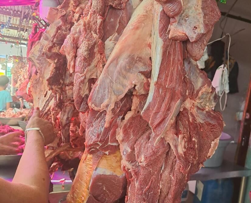 Carne-Bovina-5