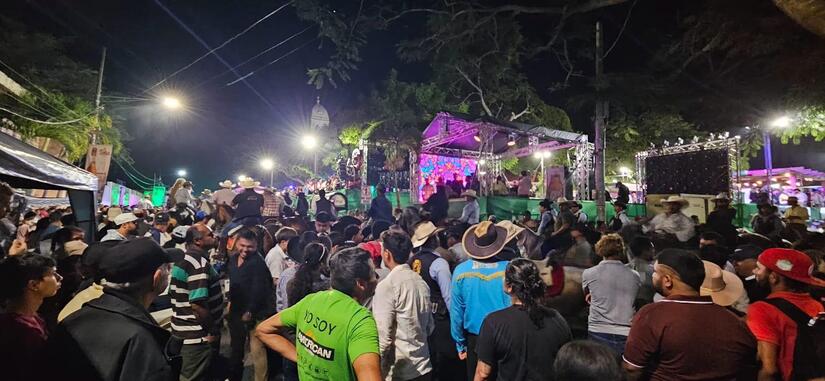 DESFILE3