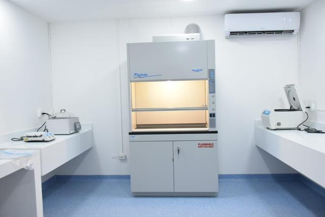 GENETICA13