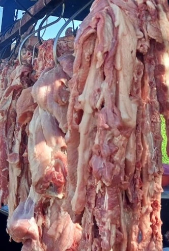 PORCINA3_3_11zon