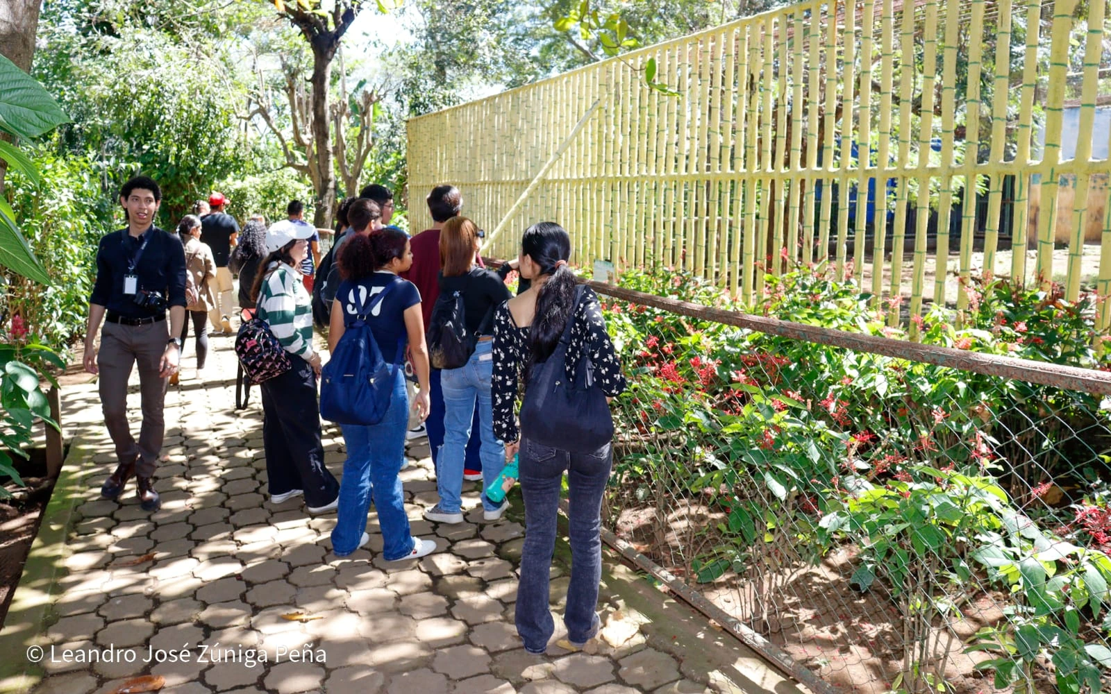 ZOOLOGICO10
