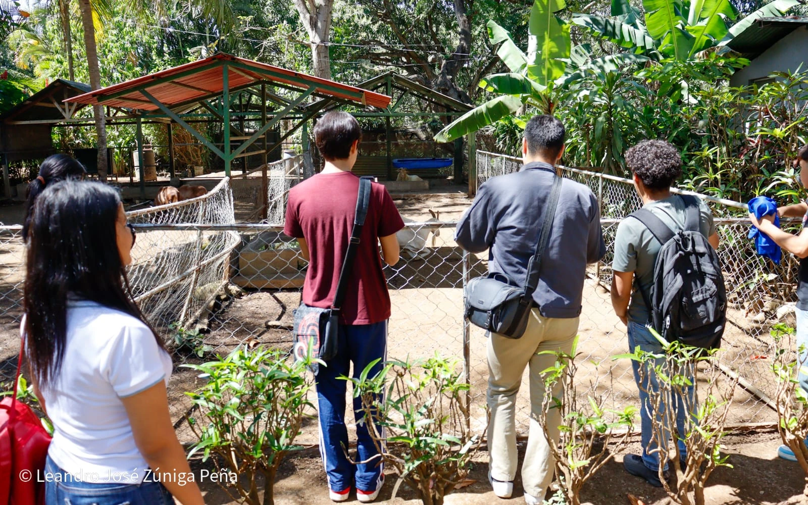 ZOOLOGICO12