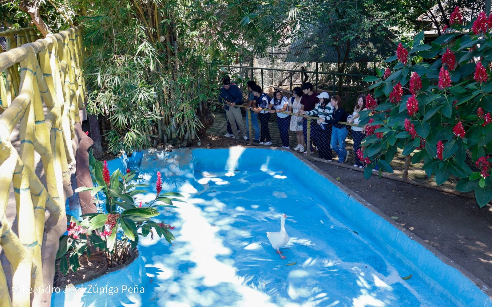 ZOOLOGICO4
