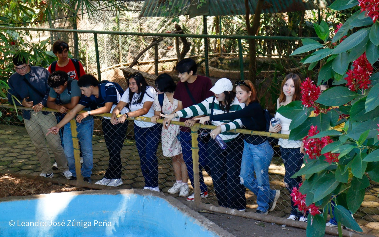 ZOOLOGICO5