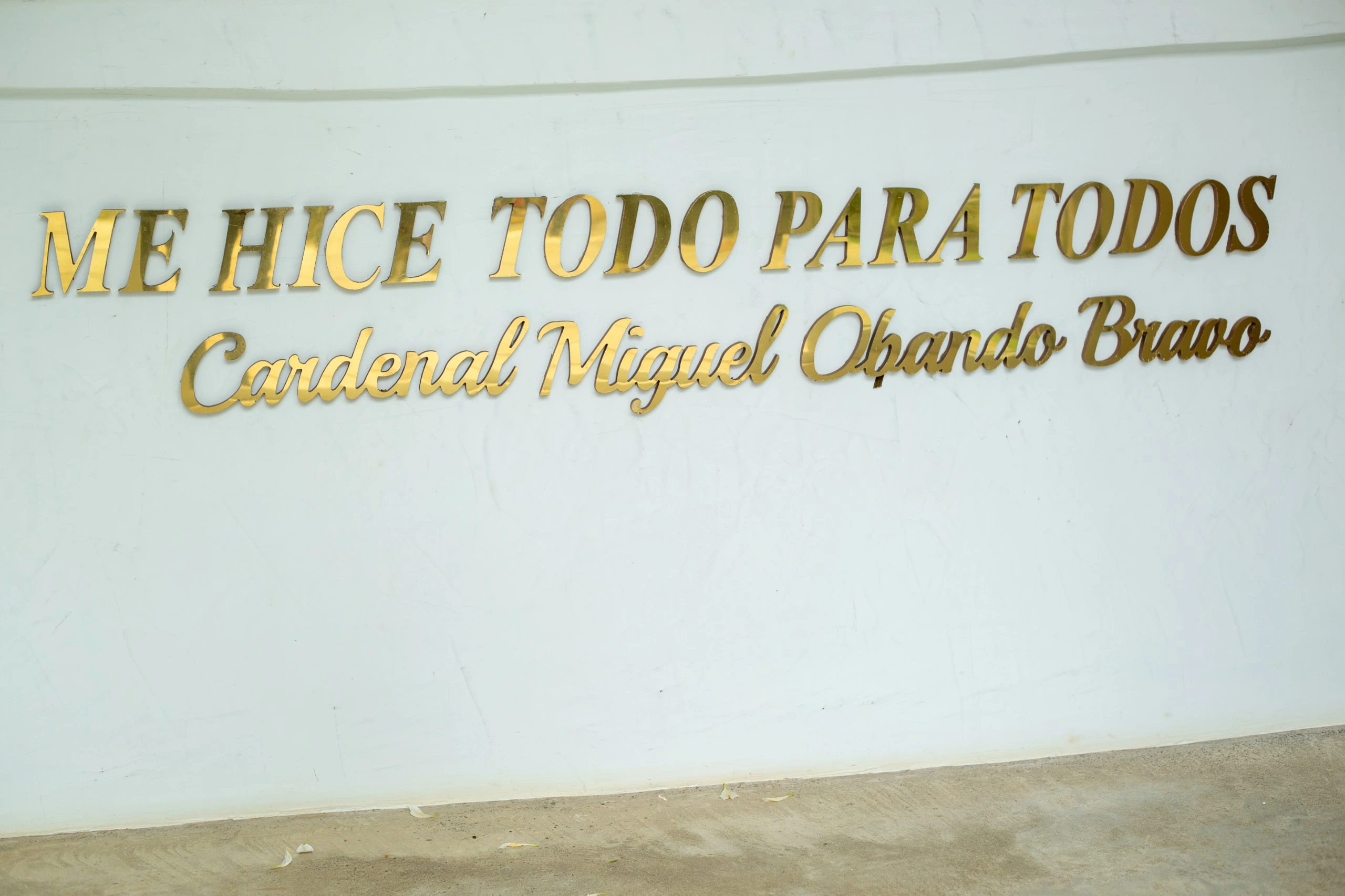 CARDENAL3