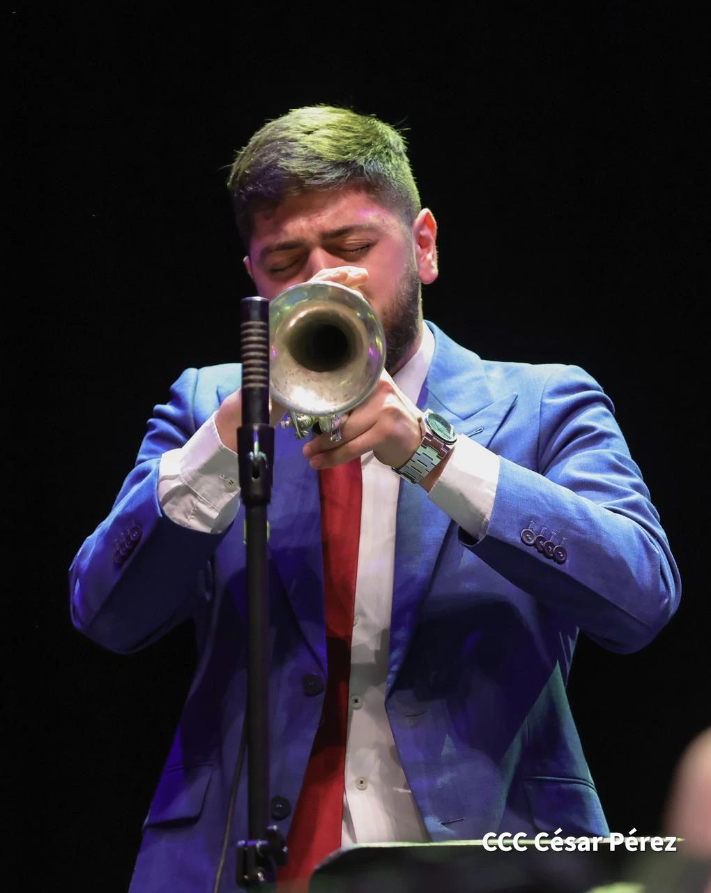 JAZZ-(31)