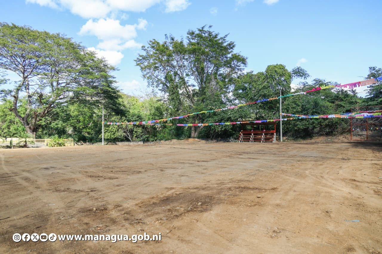 CAMPO7