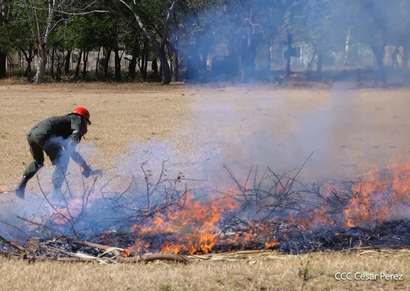 Defensa-Civil-11_11_11zon