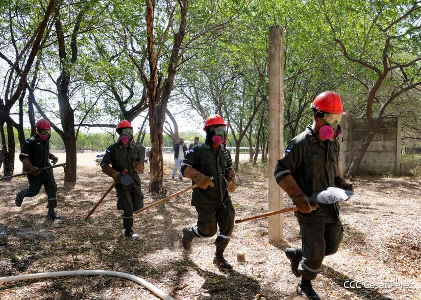 Defensa-Civil-35_34_11zon