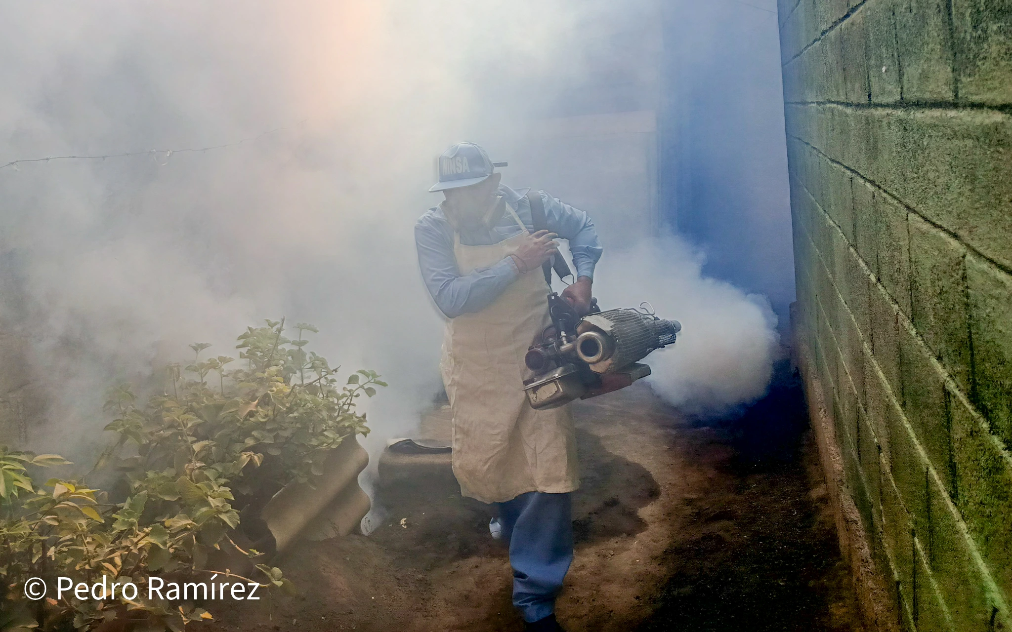 DENGUE5