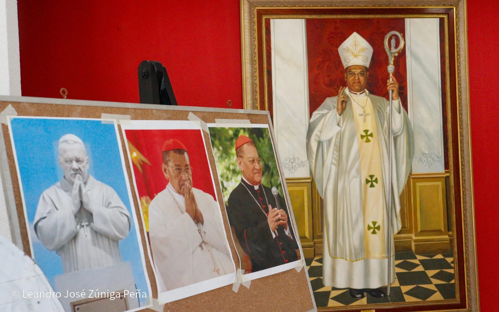 CARDENAL-(17)