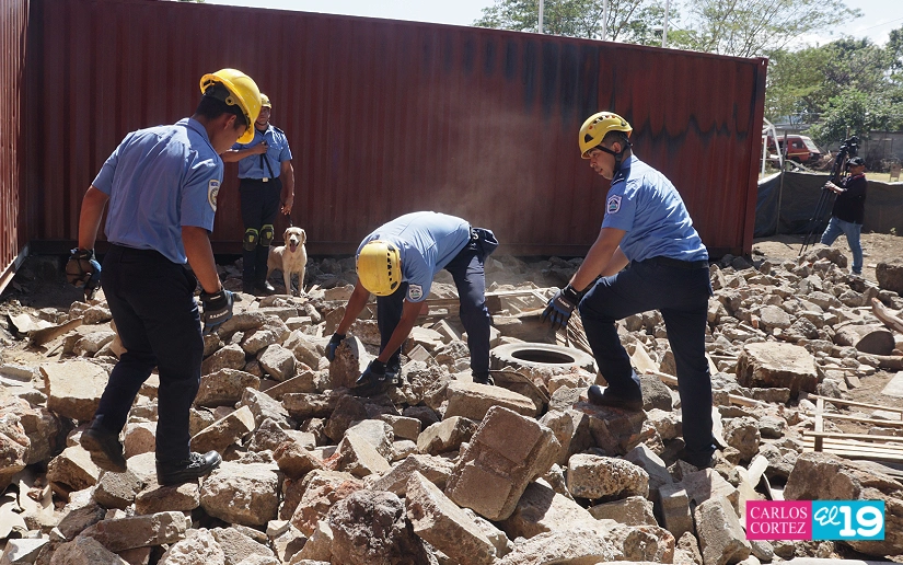 BOMBEROS13