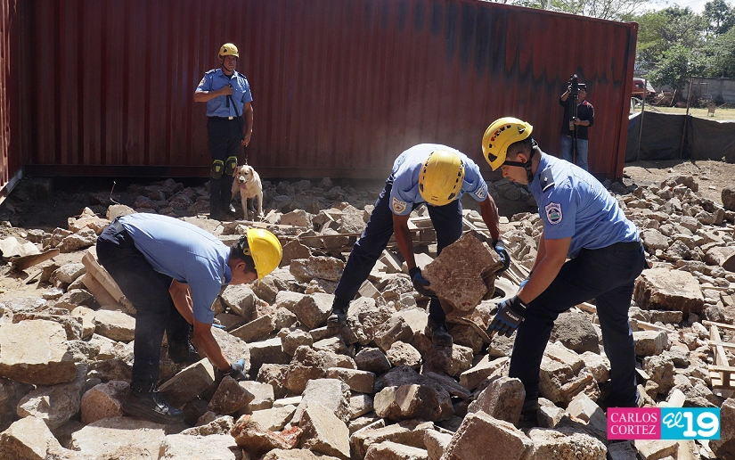 BOMBEROS14