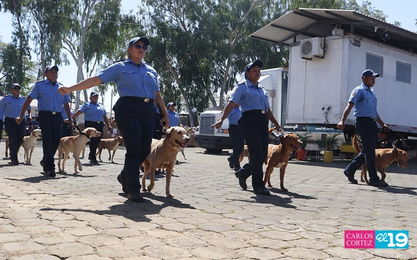BOMBEROS3