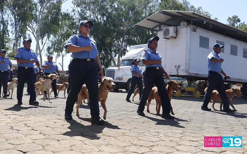 BOMBEROS4