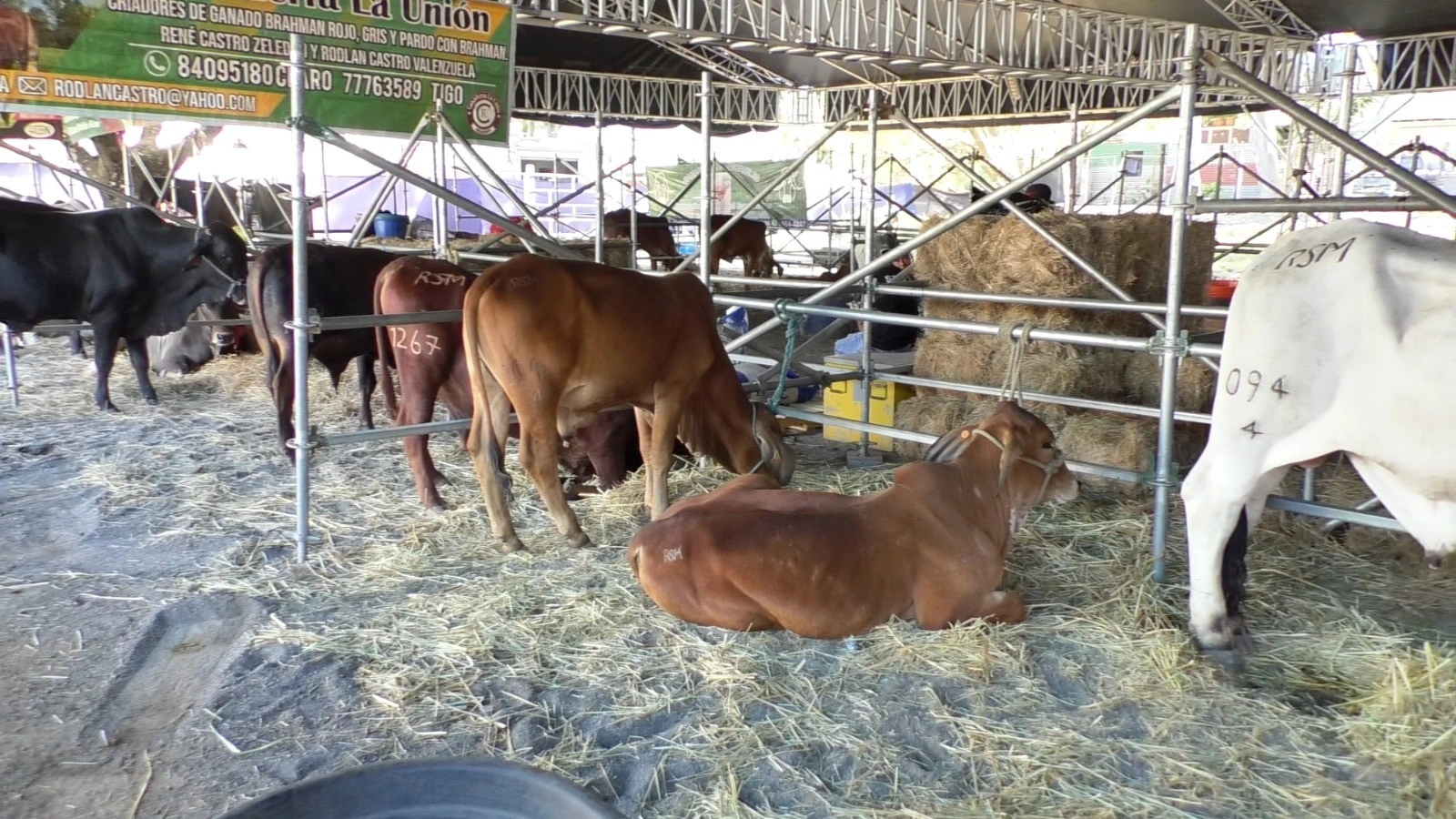 MATAGALPA2