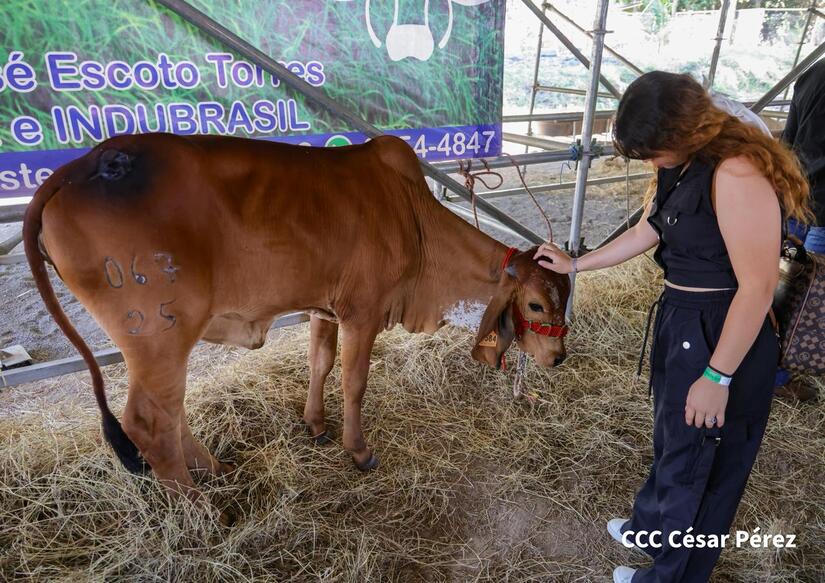 Feria-Ganadera--(4)