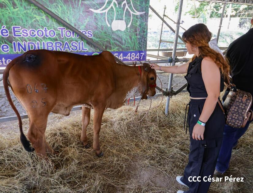 Feria-Ganadera--(7)