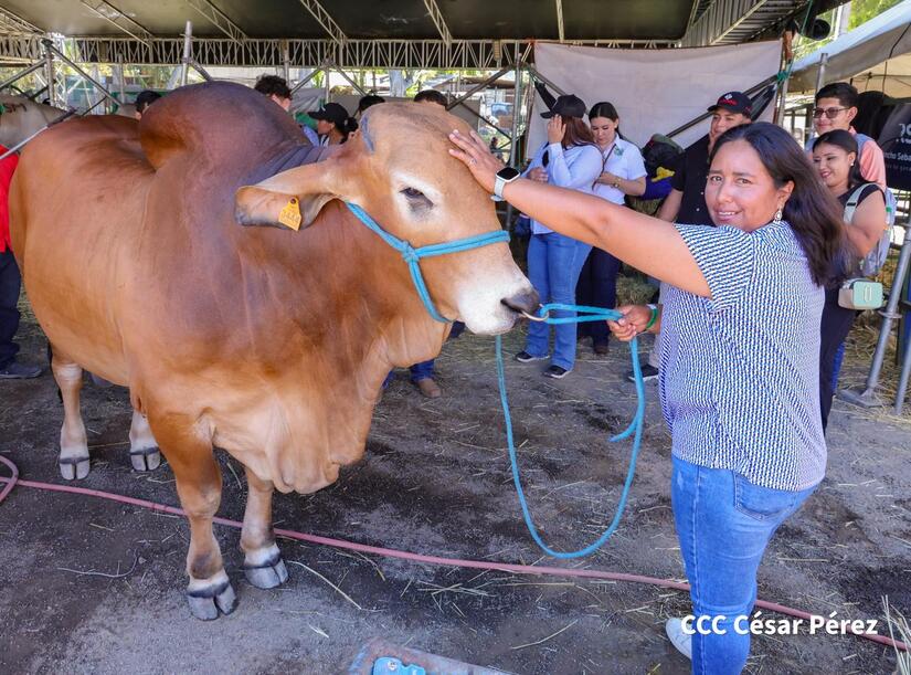 Feria-Ganadera--(9)