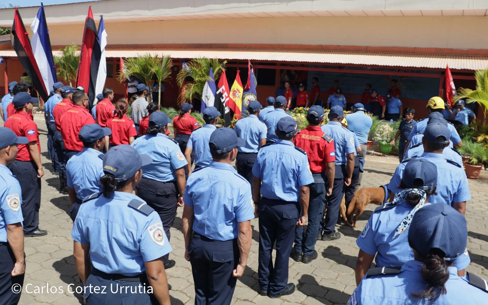 BOMBEROS6
