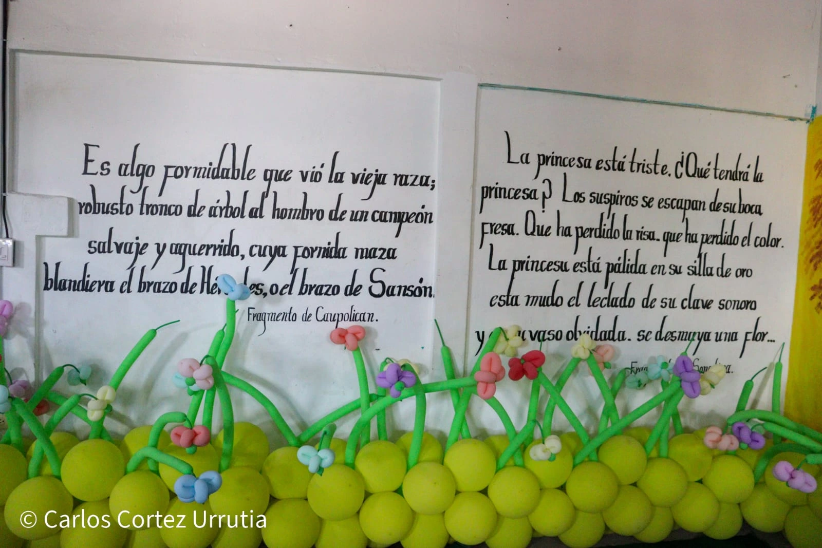 ARTE6