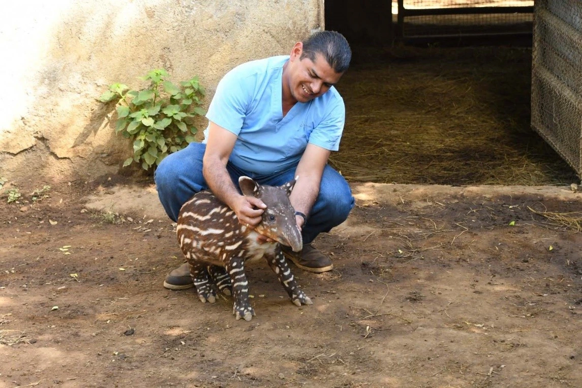 ZOOLOGICO5