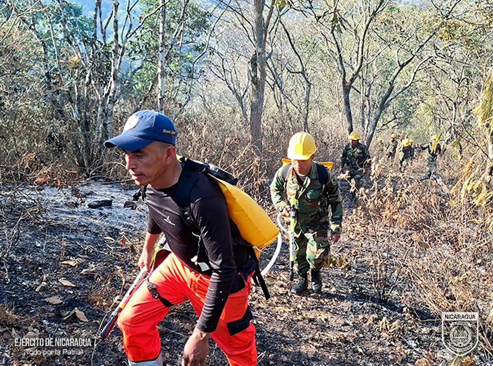 INCENDIO6
