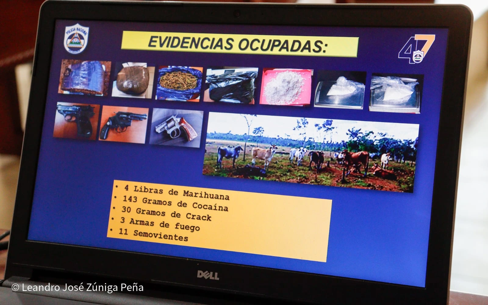 SEGURIDAD1