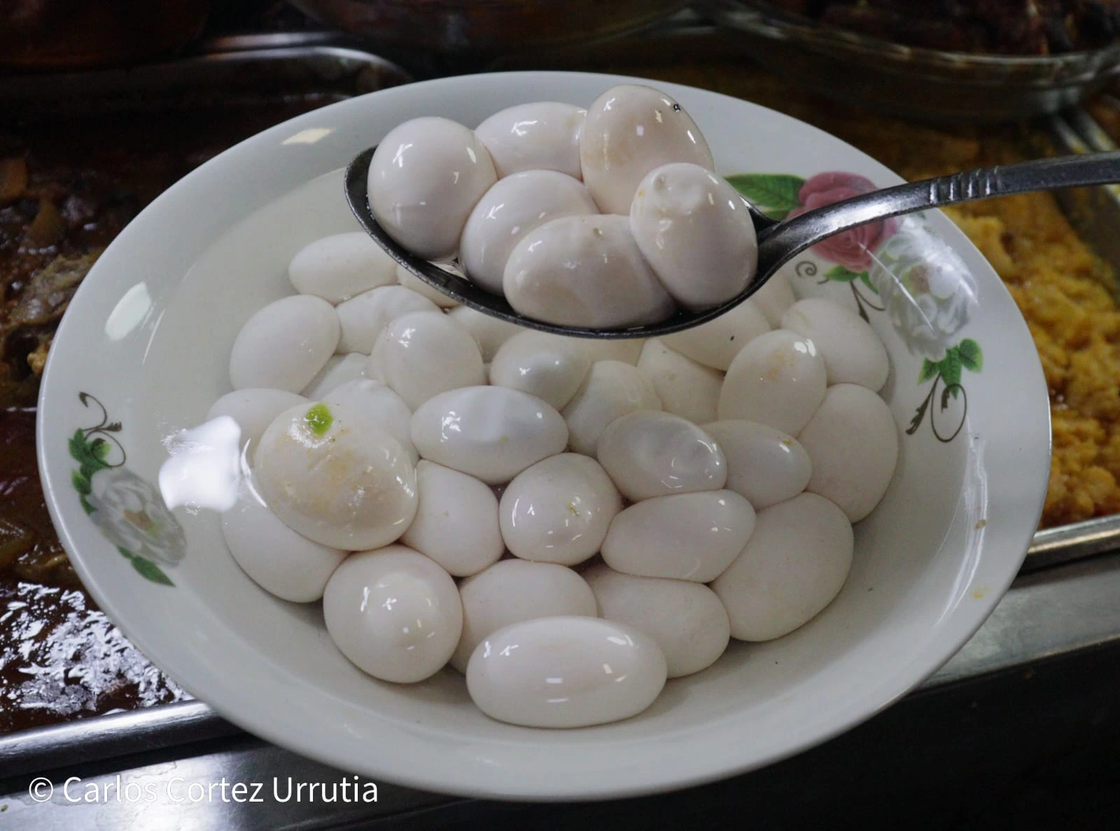 COMIDA11