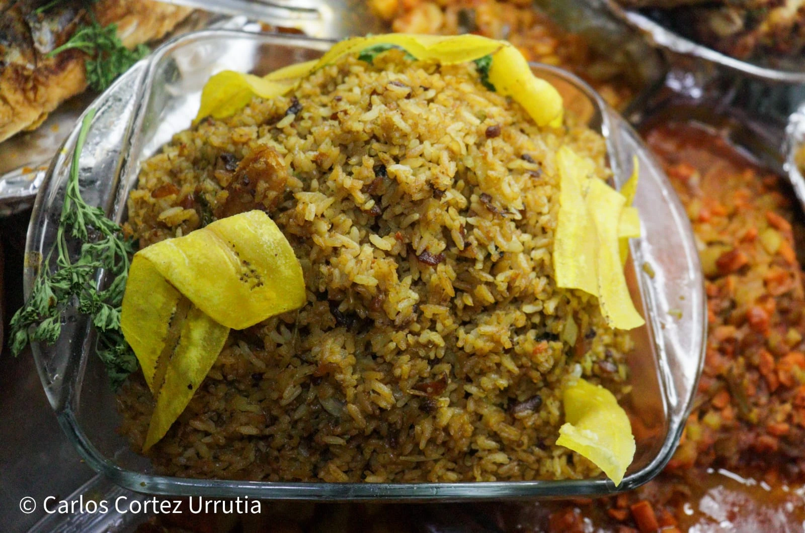COMIDA15