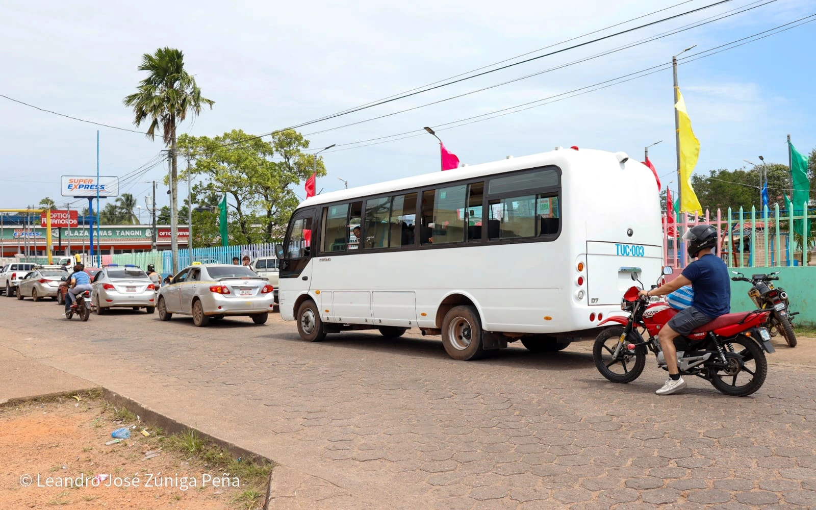 BUSES-(8)