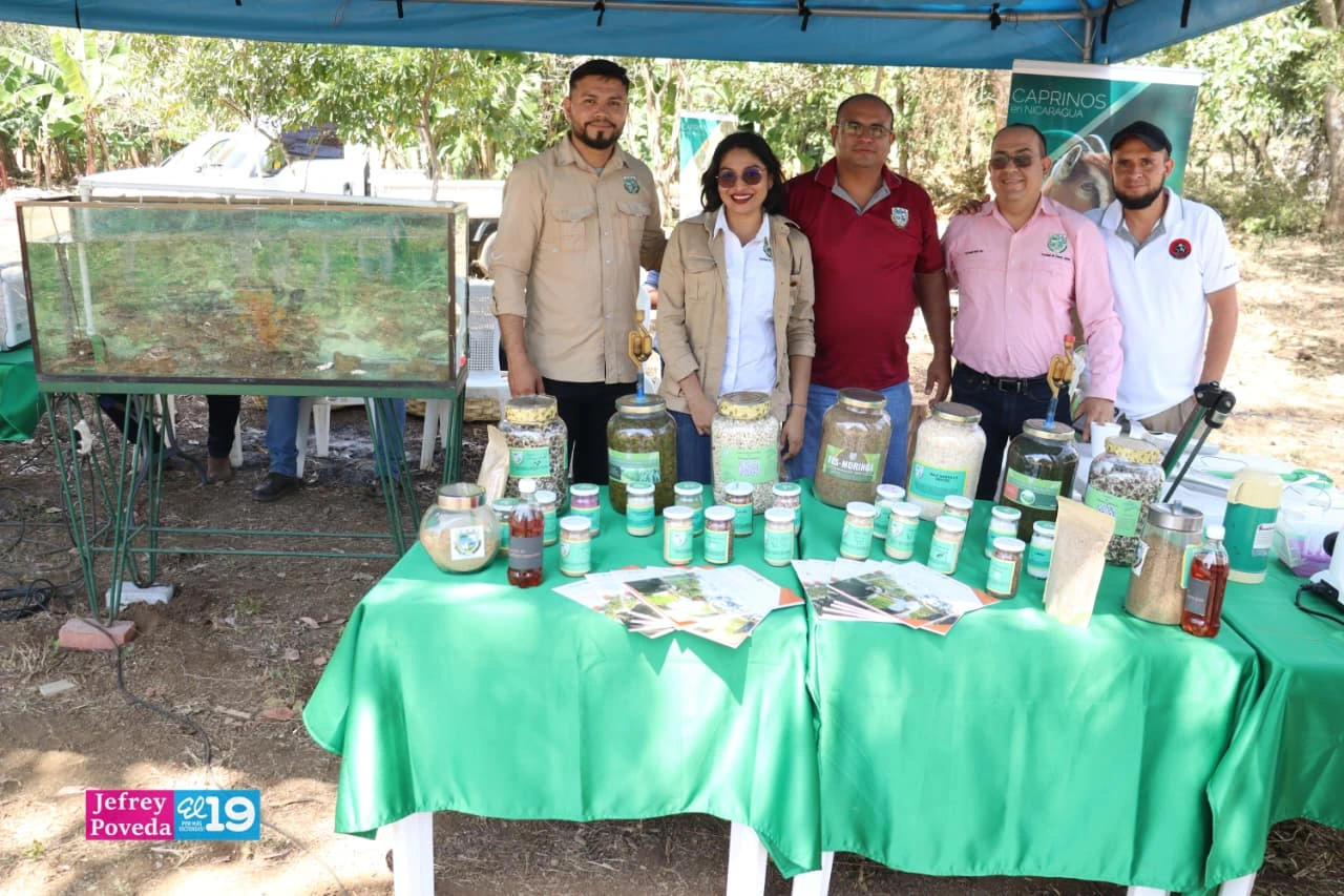 ENTREGA-(18)