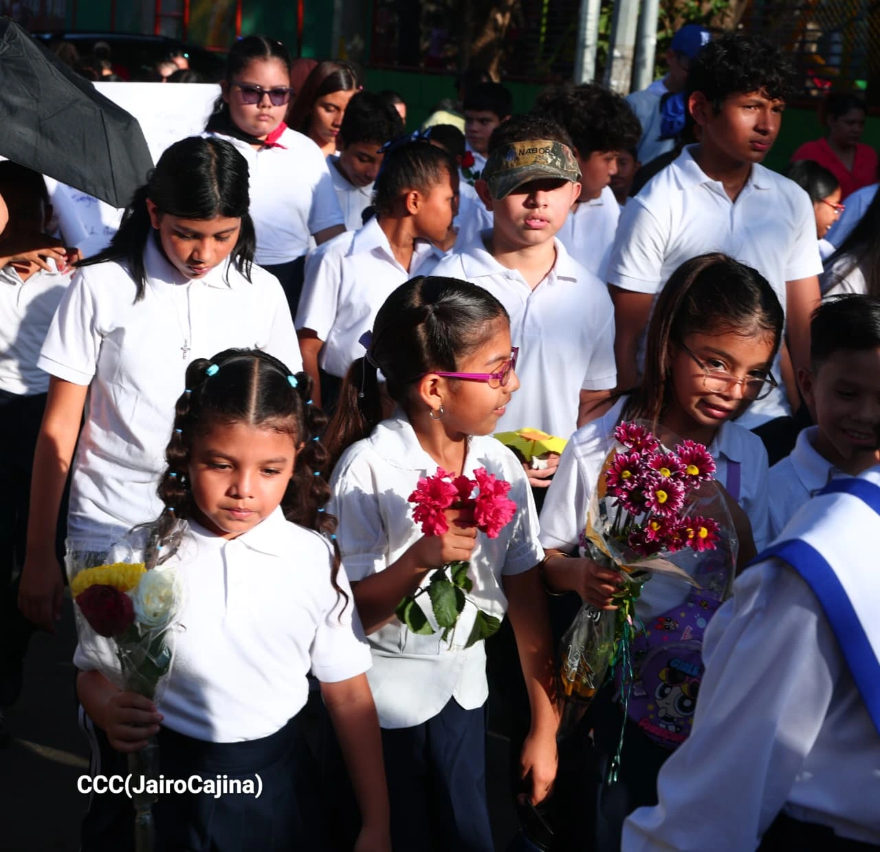 ESCOLAR-(24)