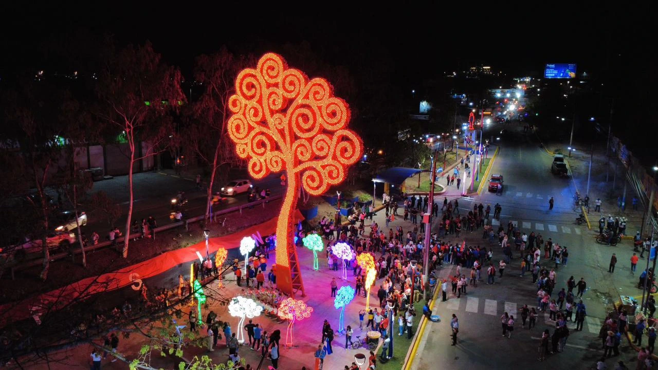 ESTELI-(19)