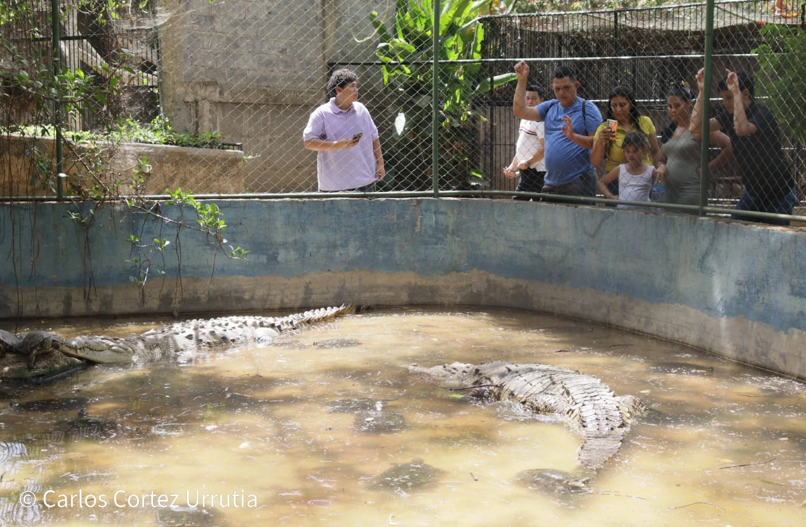 ZOOLOGICO-(10)