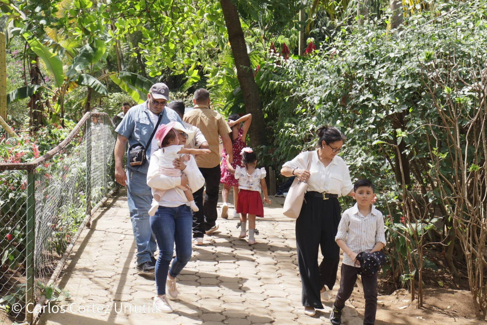 ZOOLOGICO-(13)